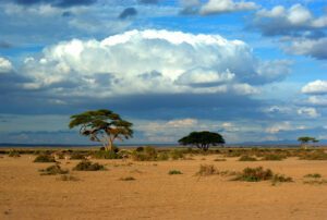 amboseli safari kenya
