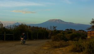 kenya amboseli safaris
